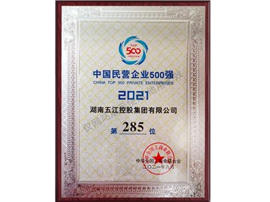 中國民營企業(yè)500強第285位（2021年）