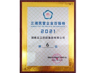 三湘民營企業(yè)500強榜第6位（2021年）